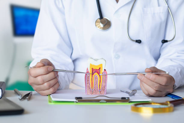 Best Emergency Wisdom Teeth Removal in Elgin, OK